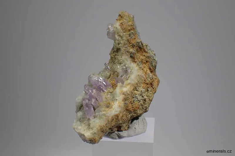 Ametystová drůza ze Sardinie s žezlovým ametystem55x32x45mm