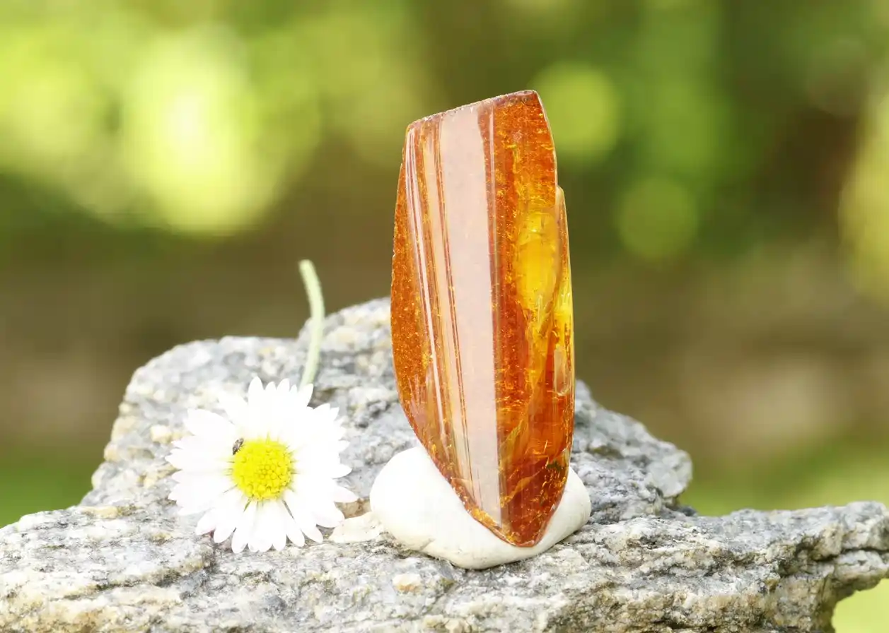 Leštěný Baltský jantar 39x16x11mm 3,13g
