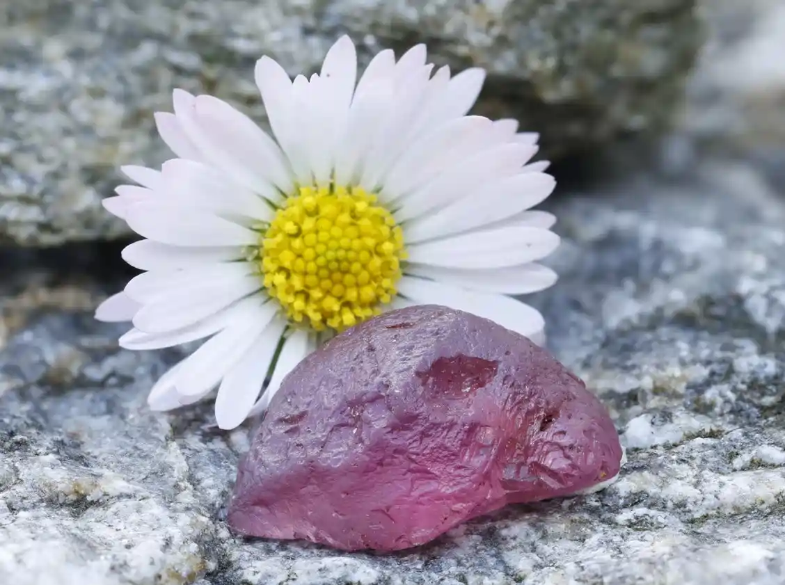 Růžový Malaya granát z Mahenge, Tanzanie 7,1ct