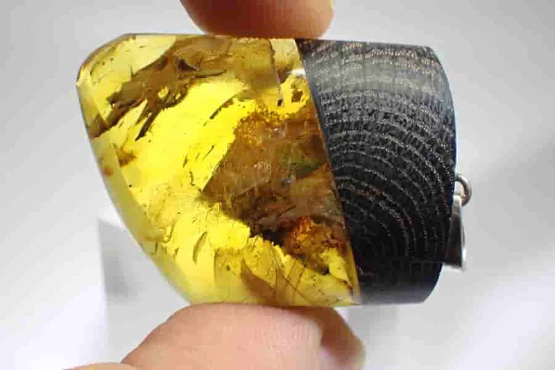 Přívěsek Jantar / Subfosilní Dub 37x23x10mm