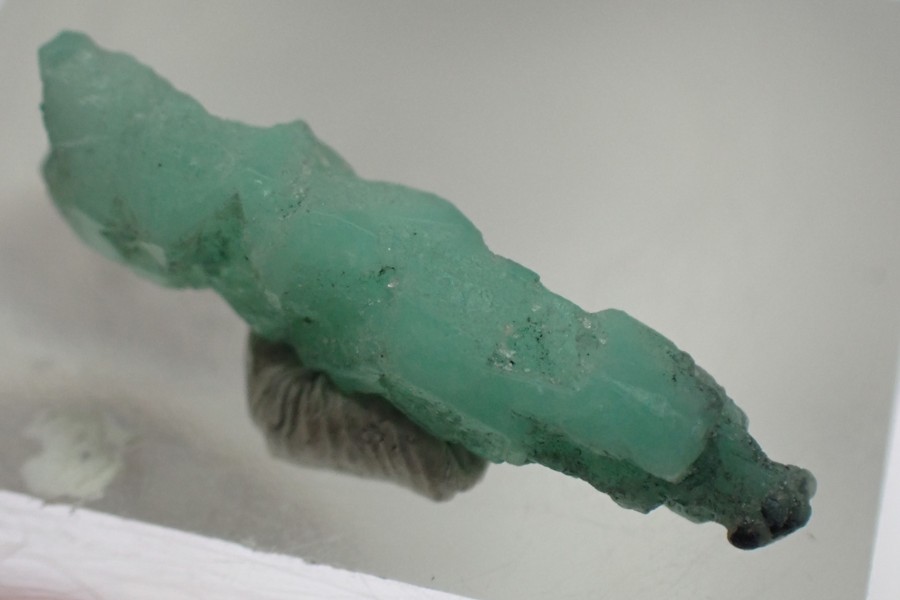 Smaragd - krystal smaragdu z kolumbie 