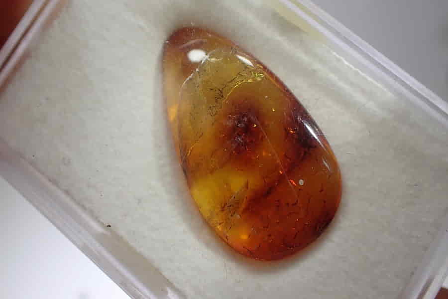Leštěný přírodní Baltský jantar ve tvaru kapky 31x18x7,5mm