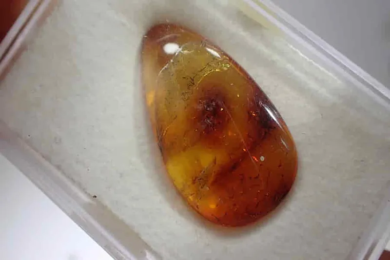 Leštěný přírodní Baltský jantar ve tvaru kapky 31x18x7,5mm
