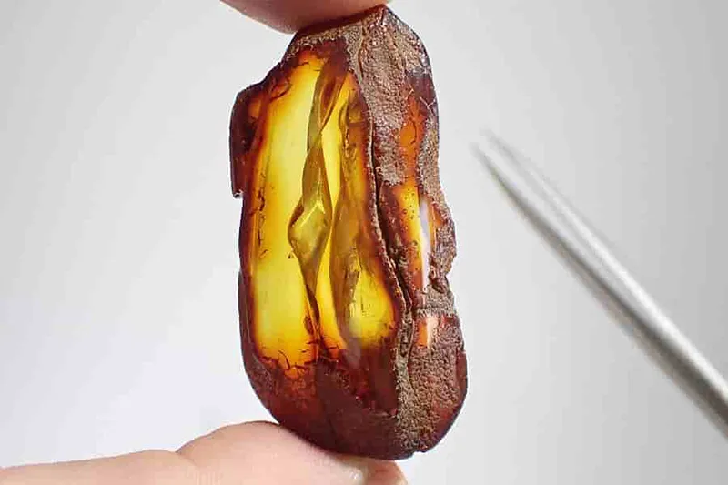 Luxusní leštěný Baltský jantar 7,42g