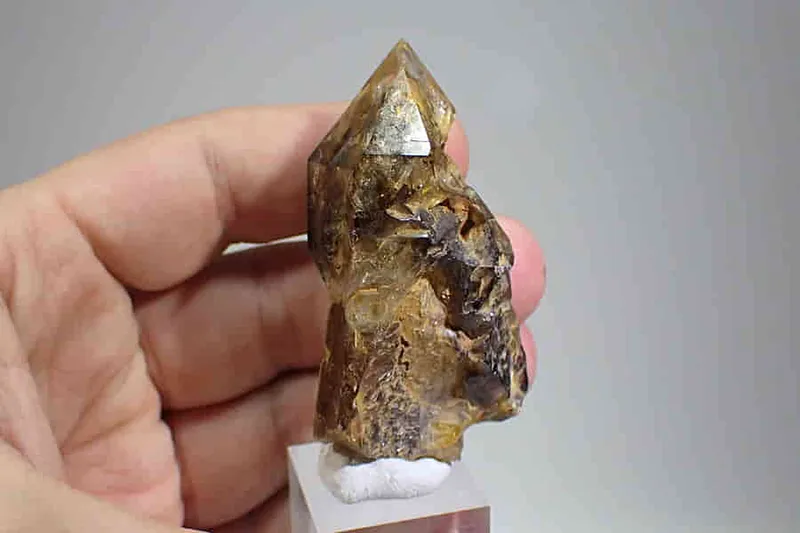 Žezlová záhněda z Hodíškova 62x39x27mm