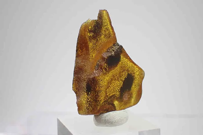 Baltský jantar zajímavý tvar 33x30x10mm