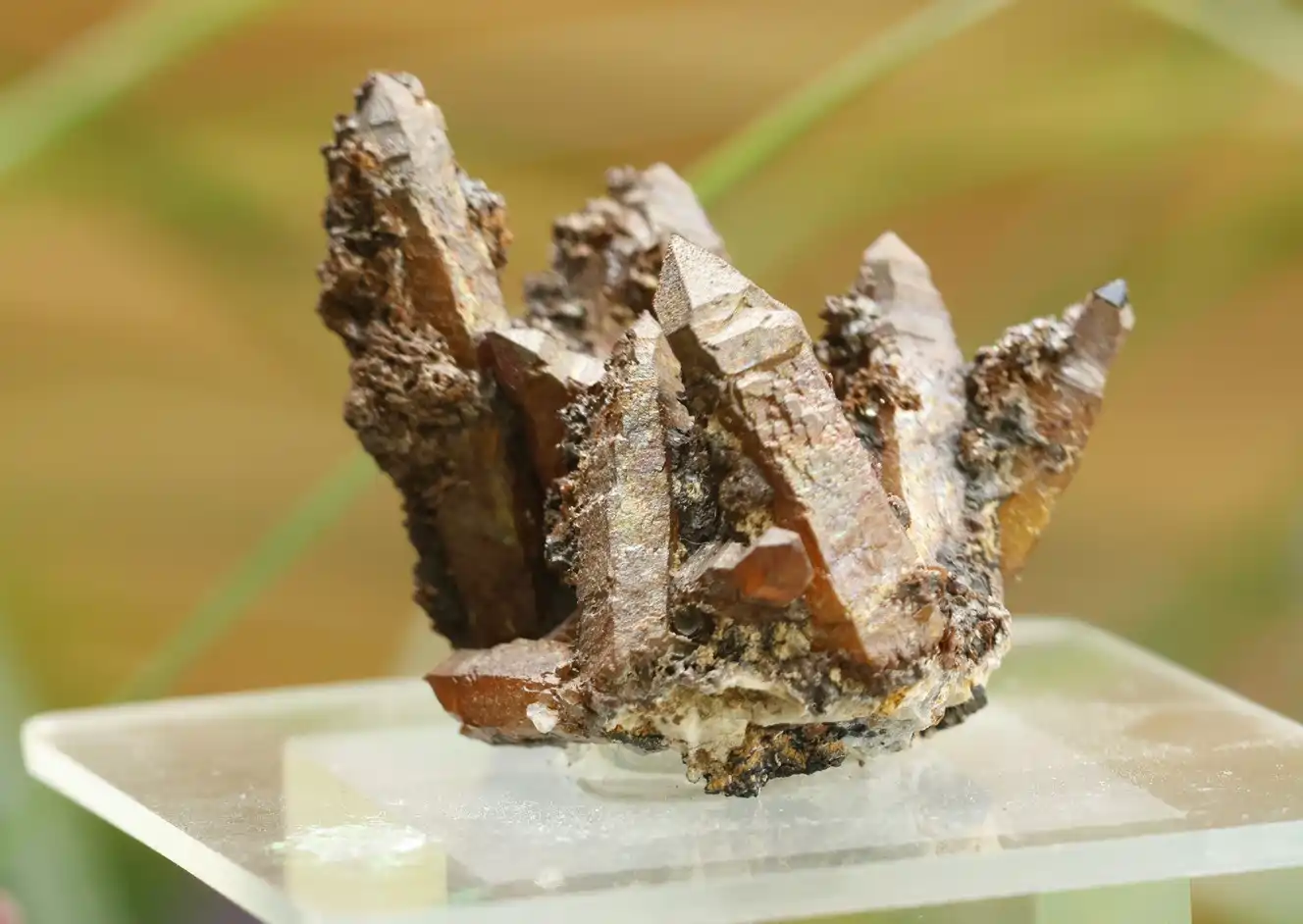 Křemen (zlaťák) z Banské Štiavnice 