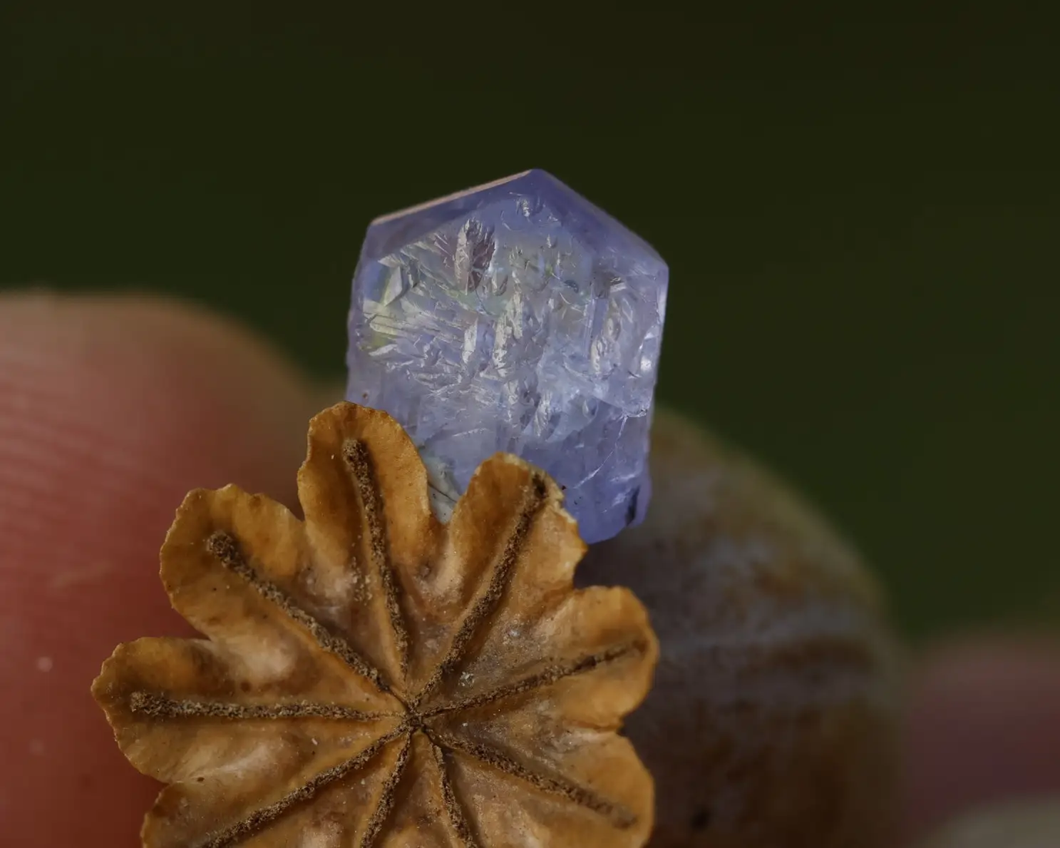 Tanzanit krystal 2.35ct 8x7x4,5mm